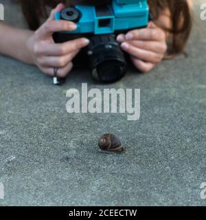 Crop petite fille prenant gros plan de l'escargot rampant sur la route d'asphalte. Banque D'Images