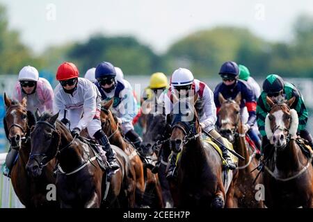 Une vue générale tandis que les coureurs et les cavaliers se tournent vers l'arrière tout droit dans le Handicap every Race Live On Racing TV à l'hippodrome de Kempton Park. Banque D'Images