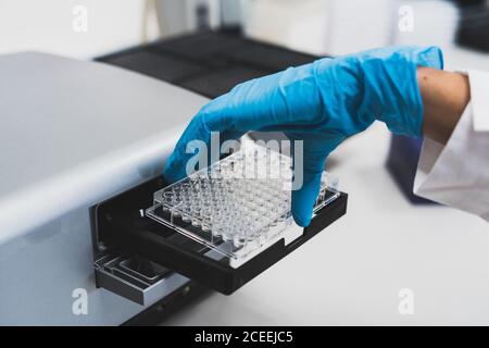 Vue rognée de la main du chercheur avec des gants en caoutchouc bleu utilisation d'équipements médicaux pour effectuer des tests en laboratoire Banque D'Images