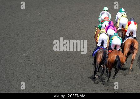 Une vue générale tandis que le coureur et les cavaliers se tournent vers l'arrière tout droit dans le Handicap every Race Live On Racing TV à l'hippodrome de Kempton Park. Banque D'Images