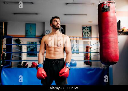 Beau musclé homme dans des gants debout au sac de punch dans la salle de gym. Banque D'Images