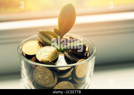 plante en croissance hors de l'épargne pièces verre pot - investissement et le concept de taux d'intérêt Banque D'Images