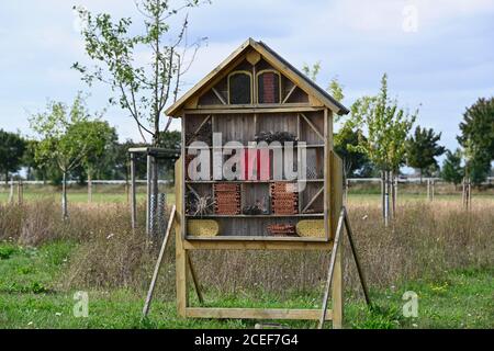 Un Wild Bee and Insect Shelter Hotel Banque D'Images