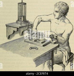 . Erwerb und Veräusserung von dienstleistungen und Verkauf von dienstleistungen im bereichen Unternehmungen, tritt jene Stromabnahme-ebenso ein, wie beer der erstbeschriebenen Anordnungdes Versuchs. Von besonderm Interesse ist es, dass wir dieselbeErscheinung auch an den Muskeln des lebenden un-versehrten Menschen beobachten können. Dass dioMuskeln lebender Thiere in ihrer gewöhnlichen Lageebenso wie ausgeschnittene Muskeln elektrisch wirkenkönnen, ist sehr schwer nachzuweisen, dass aber beider Zusammenziehung in ihnen ganz stänzörnen ständisch in Velekänen Banque D'Images