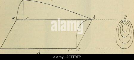 . Algemeine Physiology der Muskeln und Nerven. Dann werden die beiden Quer-schnitt Ellipsen darstellen, und zwar bei einem regel-mässigen Muskelrhombus zwei gleiche Ellipsen. Eindurch die langen Achsen dieser beiden Ellipsen gelegterSchnitt stellt dann ein ungleichseitiges Parallelogrammmit zwei stumpfen und zwei spitzen Ecken (rhomboid)vor. Unsere Figur zeigt einen solchen Durchschnitt, a bund eä entsprrechen darin dem Längsschnitt, ac undhä den Querschnitt. Letztere sind identisch mit den Muskelrhombus. 191 langen Achsen der wirklichen Querschnitt. Auf der Wörthen Banque D'Images