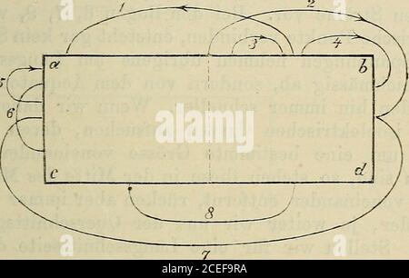 . Algemeine Physiology der Muskeln und Nerven. S- oderQuerschnittes. Vom Aequator nach beiden Seiten hinnehmen auf dem Längsschnitt die positiven Spannungenallmählich und zwar nach beiden Seiten hin gleichmässigab, bis sie an der Grenze zwischen Längsschnitt unden Querschnitt 0 werden. An den Querschnitt selbst ist die Spannung über-all negativ, aber in der Mitte derselben herrscht diegrösste negative Spannung und nimmt regelmässig nachden Grenzen des Längsschnitz hin ab. Betrieb einer Bärnten. 187 2. AUS dieser Yertheilung der Spannungen kann leichtabgeleitet werden, welche Banque D'Images