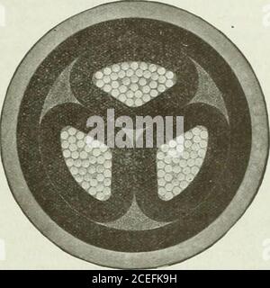 . Actualités et ingénierie électriques. Ces illustrations montrent des sections transversales de la taille d'origine des câbles récemment fournis à cet appareil. H. E. système et réordonné par eux pour d'autres extensions. Les spécifications sont les suivantes.—conducteurs composés de 37 brins chacun, de 0,082 in. De diamètre. Épaisseur du diélectrique sur chaque convertisseur, 0,210 pouce Épaisseur de la courroie, 0,210 in. Épaisseur de la gaine de câble, 0,160 po. Diamètre total, 2.61 po., 250,000 cm. Câble à trois conducteurs, à isolation papier et à gaine simple pour 13,200 volts. WECAN vous fournit des fils et des câbles de toute taille pour Power, Lighting, Teleph Banque D'Images