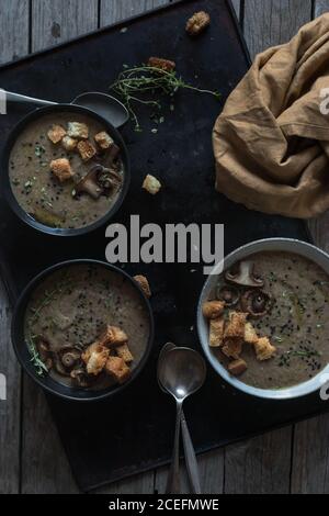 Crème de champignons soupe avec des croûtons Banque D'Images