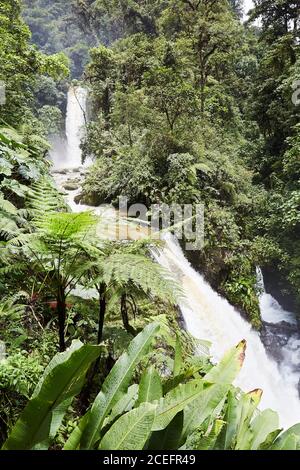 Cascade dans la belle forêt tropicale Banque D'Images
