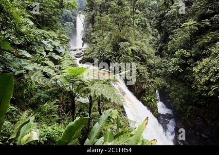 Cascade dans la belle forêt tropicale Banque D'Images