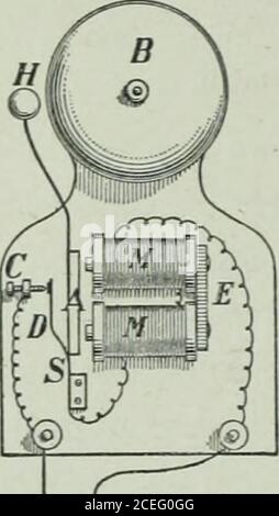 . La physique de l'école secondaire de l'Ontario. Mpleted et brisé rapidement par l'opérateur, les deux clics sont veryclose ensemble, et un point est formé; mais si un intervalinterintervient entre les clics, l'effet est appelé un tiret.différentes combinaisons de points et de tirets forment des lettres différentes. L'opérateur émetteur à A est ainsi en mesure de se faire comprendre par l'opérateur récepteur à B ou G. 512. La sonnerie électrique. Les cloches électriques sont de différents types.Fig. 52 L montre la construction d'une des formes les plus courantes. Il se compose de l'anélectroaimant M,M,E, en fi-ont de la polesof qui est supporté un arma Banque D'Images