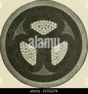 . Actualités et ingénierie électriques. Ces illustrations montrent des sections transversales de la taille d'origine des câbles récemment fournis à cet appareil. H. E. système et réordonné par eux pour d'autres extensions. Les spécifications sont les suivantes.—conducteurs composés de 37 brins chacun, de 0,082 in. De diamètre. Épaisseur du diélectrique sur chaque convertisseur, 0,210 pouce Épaisseur de la courroie, 0,210 in. Épaisseur de la gaine de câble, 0,160 po. Diamètre total, 2.61 po., 250,000 cm. Câble à trois conducteurs, à isolation papier et à gaine simple pour 13,200 volts. WECAN vous fournit des wrires et des câbles de toute taille pour l'alimentation, l'éclairage, le télép Banque D'Images