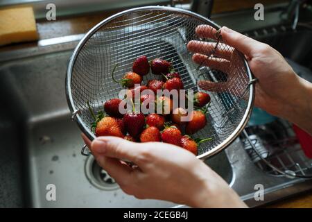 Rognez les mains des femmes en tenant la crépine métallique avec des fraises fraîches et brillantes sous l'évier, tapez sur le comptoir en bois par le dessus Banque D'Images