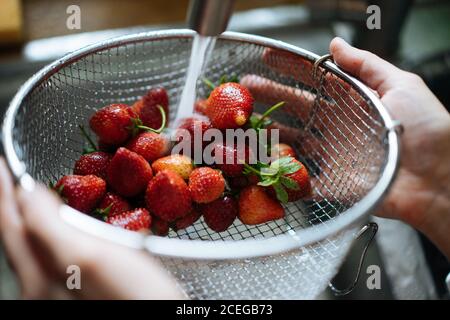 Rognez les mains des femmes en tenant la crépine métallique avec des fraises fraîches et brillantes sous l'évier, tapez sur le comptoir en bois par le dessus Banque D'Images