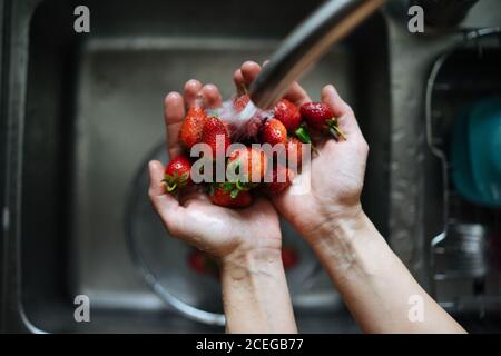 Rognez les mains des femmes en tenant la crépine métallique avec des fraises fraîches et brillantes sous l'évier, tapez sur le comptoir en bois par le dessus Banque D'Images