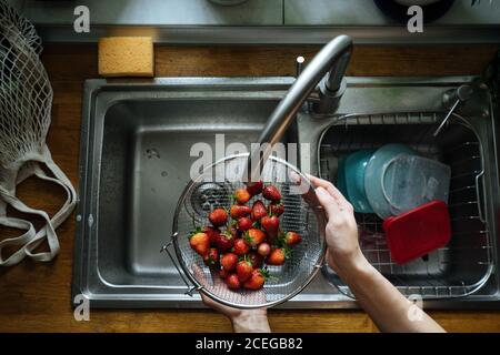 Rognez les mains des femmes en tenant la crépine métallique avec des fraises fraîches et brillantes sous l'évier, tapez sur le comptoir en bois par le dessus Banque D'Images