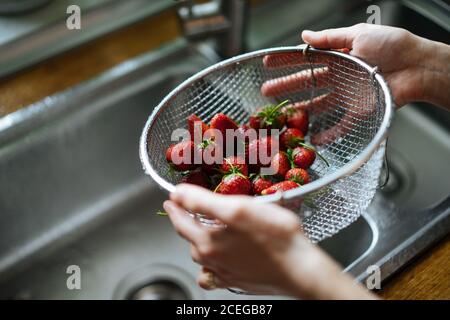 Rognez les mains des femmes en tenant la crépine métallique avec des fraises fraîches et brillantes sous l'évier, tapez sur le comptoir en bois par le dessus Banque D'Images