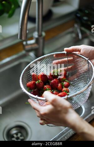 Rognez les mains des femmes en tenant la crépine métallique avec des fraises fraîches et brillantes sous l'évier, tapez sur le comptoir en bois par le dessus Banque D'Images