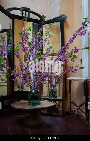 De magnifiques brindilles fraîchement coupées avec des feuilles vertes et des violettes fleurs debout dans un pot en verre avec de l'eau sur bois rond table dans une ancienne salle miteuse avec miroirs Banque D'Images