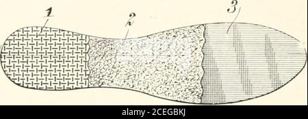 . Le monde du caoutchouc de l'Inde. (IIR-miiunr thermomètre chical dans le )lalar&lt;l -.tcrili/er cashishmai être une aide précieuse dans la chambre de malade. [Le Randall-FaichncyCo., llosfon.] PLUS D'EXCUSE POUR AVOIR LES PIEDS FROIDS. Voici un bienfaiteur qui a détruit le gr^at ennemi de l'humanité—pieds froids. Il est Levet A. long, de Dayton, Ohio. Et voici la description de son annihilateur des pieds froids. C'est une semelle intérieure, faite de trois couches de matériau. L'illustration ac-companing montre une vue de dessus de la semelle intérieure avec l'écart des deux couches supérieures coupées afin de donner une idée des trois. La couche supérieure, XO. 1 dans le fi Banque D'Images