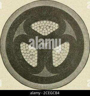 . Actualités et ingénierie électriques. Ces illustrations montrent des sections transversales de la taille d'origine des câbles récemment fournis à cet appareil. H. E. système et réordonné par eux pour d'autres extensions. Les spécifications sont les suivantes.—conducteurs composés de 37 brins chacun, de 0,082 in. De diamètre. Épaisseur du diélectrique sur chaque convertisseur, 0,210 pouce Épaisseur de la courroie, 0,210 in. Épaisseur de la gaine de câble, 0,160 po. Diamètre total, 2.61 po., 250,000 cm. Câble à trois conducteurs, à isolation papier et à gaine simple pour 13,200 volts. WECAN vous fournit des virires et des câbles de toutes tailles pour Power, Lighting, tel Banque D'Images