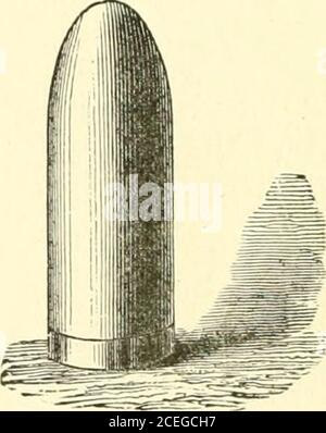 . Champ, fort et flotte ... l'mouvement qu'ils auraient pu faire a été checkté au début par la position des Confédérés. Si les Marbleheadse avaient combattu moins vaillamment, l'infanterie fédérale aurait été gobbledup. En effet, si elle ne se battait pas comme elle l'avait fait, elle se serait encapsule. Pendant plus d'une heure, le combat s'est poursuivi avec le grand esprit des deux côtés, mais puis un autre bateau à canon a été vu approchede l'entrée, et le meilleur pistolet de la batterie de rivage a été à l'heure du moment venu démonté par un coup de feu de la Marblehead. Fearingthat a Federal force serait débarqué pour couper leur maître Banque D'Images