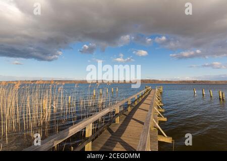 Jetée au lac Ratzeburg / Ratzeburger Voir au parc naturel des lacs Lauenburg / Parc naturel Lauenburgische Seen, Schleswig-Holstein, Allemagne Banque D'Images