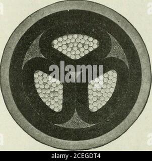 . Actualités et ingénierie électriques. Ces illustrations montrent des sections transversales de la taille d'origine des câbles récemment fournis à cet appareil. H. E. système et réordonné par eux pour d'autres extensions. Les spécifications sont les suivantes.—conducteurs composés de 37 brins chacun, de 0,082 in. De diamètre. Épaisseur du diélectrique sur chaque convertisseur, 0,210 pouce Épaisseur de la courroie, 0,210 in. Épaisseur de la gaine de câble, 0,160 po. Diamètre total, 2.61 po., 250,000 cm. Câble à trois conducteurs, à isolation papier et à gaine simple pour 13,200 volts. WECAN vous fournit des fils et des câbles de toutes tailles pour Power, Lighting, Teleph Banque D'Images