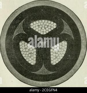 . Actualités et ingénierie électriques. Ces illustrations montrent des sections transversales de la taille d'origine des câbles récemment fournis à cet appareil. H. E. système et réordonné par eux pour d'autres extensions. Les spécifications sont les suivantes.—conducteurs composés de 37 brins chacun, de 0,082 in. De diamètre. Épaisseur du diélectrique sur chaque convertisseur, 0,210 pouce Épaisseur de la courroie, 0,210 in. Épaisseur de la gaine de câble, 0,160 po. Diamètre total, 2.61 po., 250,000 cm. Câble à trois conducteurs, à isolation papier et à gaine simple pour 13,200 volts. WECAN vous fournit des produits et des câbles de toute taille pour Power, Lighting, Teleph Banque D'Images