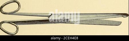 . Technique pathologique ; un manuel pratique pour les travailleurs en histologie et bactériologie pathologiques. Figure 155.—Myelotome. Les couteaux d'amputation de différentes tailles sont utiles pour les coupes longues et profondes dans les organes et les tumeurs. Un myélotome est une lame de couteau courte, mince et étroite, de 1.4 cm de long et de 4 mm de large, placée en oblique sur une tige en acier mince. Figure 156.—Enterotome. Se terminant par une poignée en bois (Fig. 155). Il est utilisé seulement pour couper le cordon d'équerre en travers pour enlever le cerveau. Les coupe-cartilage et les scalpels de différentes tailles sont utiles à diverses fins. Banque D'Images