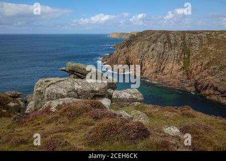Bruyère sauvage à Gwennap Head West Cornwall Banque D'Images