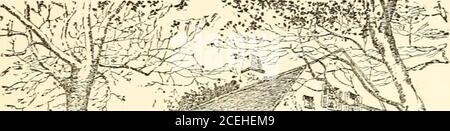 . Handbook of Old Burial Hill, Plymouth, Massachusetts : son histoire, ses célèbres morts, et ses épitaphes pittoresques s (Arbutus traînant). 63 Mayflower Inn, Manomet Bluffs. 64 Manomet Bluffs. 65 Eocky Shore, Manomet. 66 Plymouth Rock House. 67 Hôtel Pilgrim. 68 Chambre Samoset. 69, rue principale. 70 place de la ville en 1870. 71 ToAvn Square en 1812. 72 police dans l'église d'Austerfield où Gov. WM. Brad- ford a été baptisé. 73 Plymouth en 1622,—une photo combinée montrant la rue Leyden, le Vieux fort. Atterrissage depuis le Shallop, Plymouth Rock et le Mayflower. 74 Gov. Bradfords House, Plymouth, 1621. 75 Birthplac Banque D'Images