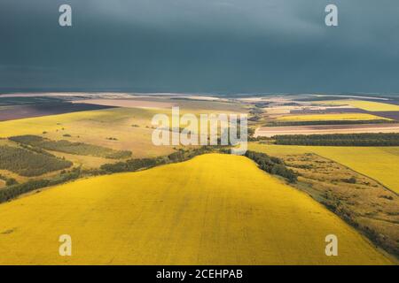 Paysage de champ avec tournesols. Antenne. . Photo de haute qualité Banque D'Images