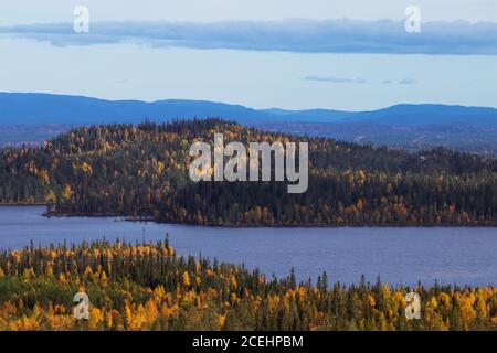 Flanc de coteau recouvert d'une forêt mixte de taïga pendant le feuillage d'automne par une journée ensoleillée au bord du lac. Kuusamo, nord de la Finlande. Banque D'Images