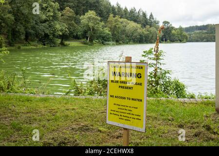 Le lac à Shearwater avis d'avertissement concernant les algues bleues qui sont présentes dans l'eau et un danger . Longleat Estate, Wiltshire, Angleterre, Royaume-Uni Banque D'Images