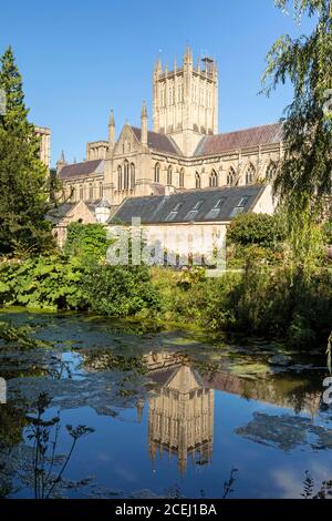 Wells Cathedral se reflète dans le Moat des Bishops Palace Gardens à Wells, Somerset, Angleterre, Royaume-Uni Banque D'Images