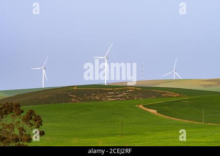 Éoliennes près de Caledon Afrique du Sud Banque D'Images