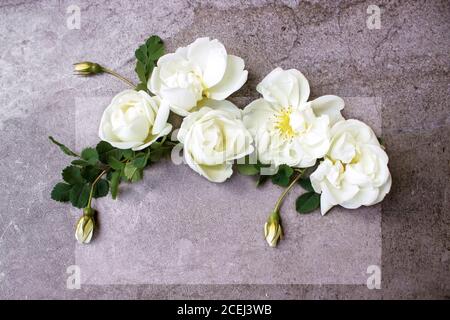 Photo stylisée. Maquette de produit numérique féminine avec fleurs roses, liste de papier vierge et fond gris sorbeur. Flat lay, vue de dessus. Image pour Banque D'Images