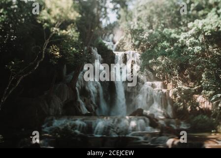 Vue pittoresque sur la magnifique cascade de la forêt par beau temps ensoleillé. Banque D'Images