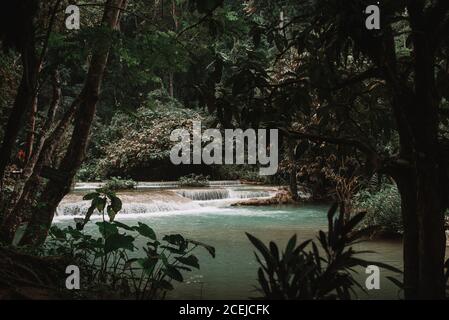 Belle cascade dans la forêt Banque D'Images