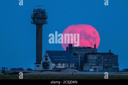 CalShot, Southampton. 1er septembre 2020. Météo au Royaume-Uni : la pleine lune connue sous le nom de Lune de récolte ou Lune de maïs s'élève le long de la tour de montre de Coastwatch de Calshot et derrière le château de Calshot sur le Spit de Calshot. La dernière pleine lune de l'été 2020 sera à son maximum à 6.23 demain matin. Credit Stuart Martin/Alamy Live News Banque D'Images