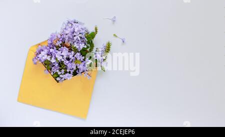 Fleurs bleues dans une enveloppe jaune sur fond bleu clair pastel. Carte de vœux pour les événements romantiques. Journée des enseignants, Fête des mères. Banque D'Images