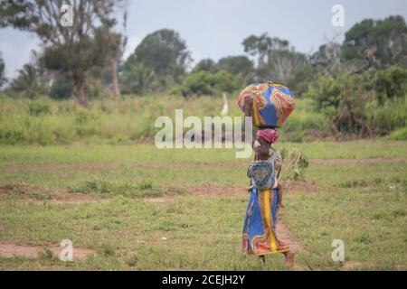 Les femmes africaines marchent dans la nature, habillées de vêtements traditionnels colorés, portant une grosse cargaison sur sa tête Banque D'Images