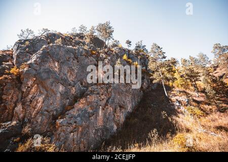 Un paysage d'automne grand angle avec une immense falaise surcultivée avec des herbes indigènes sèches jaunées, des cèdres, des sapins et d'autres conifères, avec un ciel clair dans le Banque D'Images