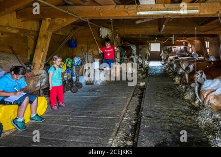 Pöris Alp avec Ankle enfants de Franziska et Christian Zurbrügg. De là, le Lenkerhof reçoit son fromage de chèvre frais. ALP Dairy, Lenk, Suisse, Lenk, Suisse Banque D'Images