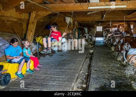 Pöris Alp avec Ankle enfants de Franziska et Christian Zurbrügg. De là, le Lenkerhof reçoit son fromage de chèvre frais. ALP Dairy, Lenk, Suisse, Lenk, Suisse Banque D'Images