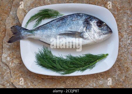 Fruits de mer méditerranéens. Poisson frais cru de la dorade sur un plat blanc avec des feuilles d'aneth. Pose à plat. Arrière-plan en pierre Banque D'Images