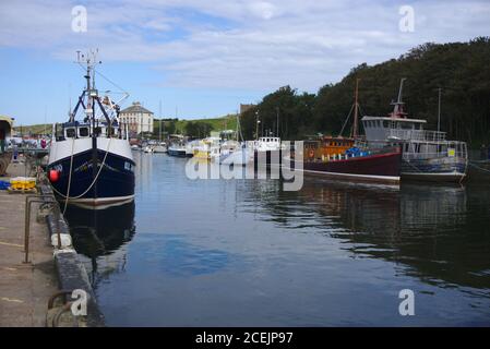 Bateaux de différents types et tailles amarrés dans le port d'Eyemouth, Berwickshire, Scottish Borders, Royaume-Uni, avec Gunsgreen House int le fond. Banque D'Images