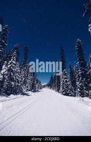 Paysage neigé canadien Banque D'Images