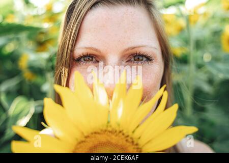 Portrait en gros plan d'une belle jeune femme qui cache son visage avec tournesol jaune Banque D'Images